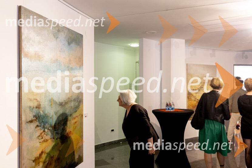 Apolonija Simon z razstavo Globine vidnega v galeriji Generali