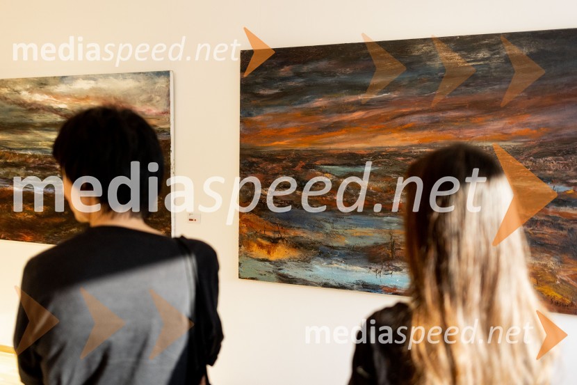 Apolonija Simon z razstavo Globine vidnega v galeriji Generali