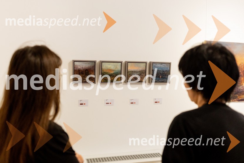 Apolonija Simon z razstavo Globine vidnega v galeriji Generali