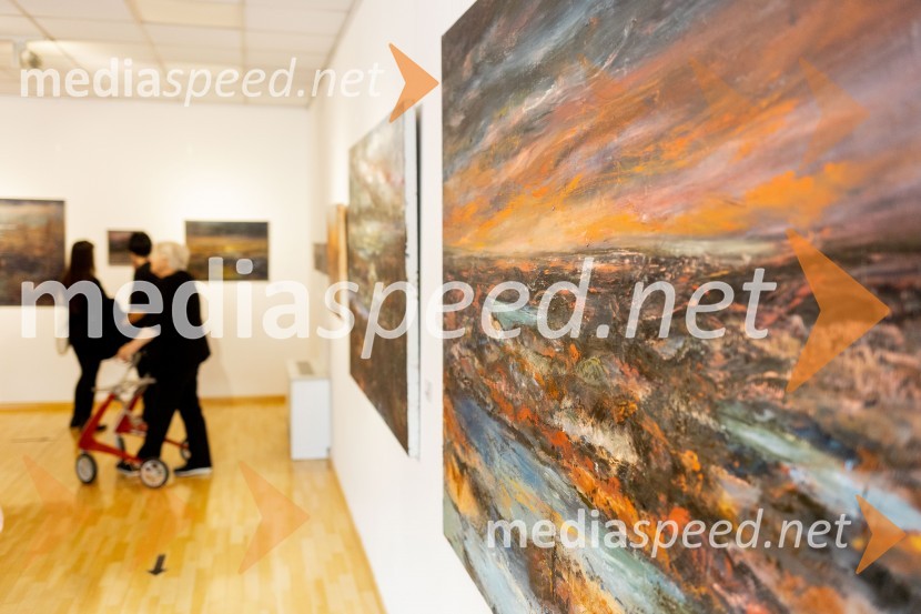 Apolonija Simon z razstavo Globine vidnega v galeriji Generali