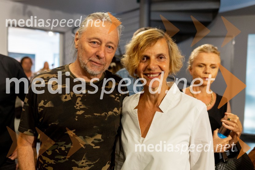  ... ;  Apolonija Simon, umetnicaApolonija Simon z razstavo Globine vidnega v galeriji Generali