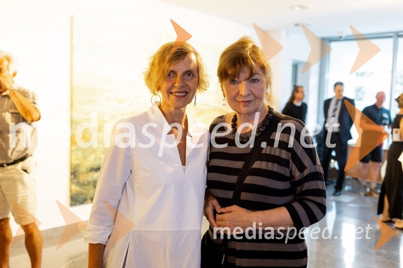  Apolonija Simon, umetnica; mag. Milena Gregorčič, umetnicaApolonija Simon z razstavo Globine vidnega v galeriji Generali
