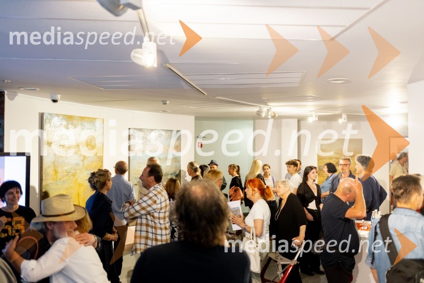 Apolonija Simon z razstavo Globine vidnega v galeriji Generali