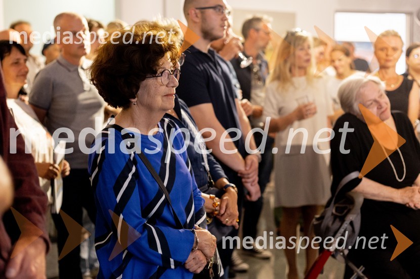 Apolonija Simon z razstavo Globine vidnega v galeriji Generali