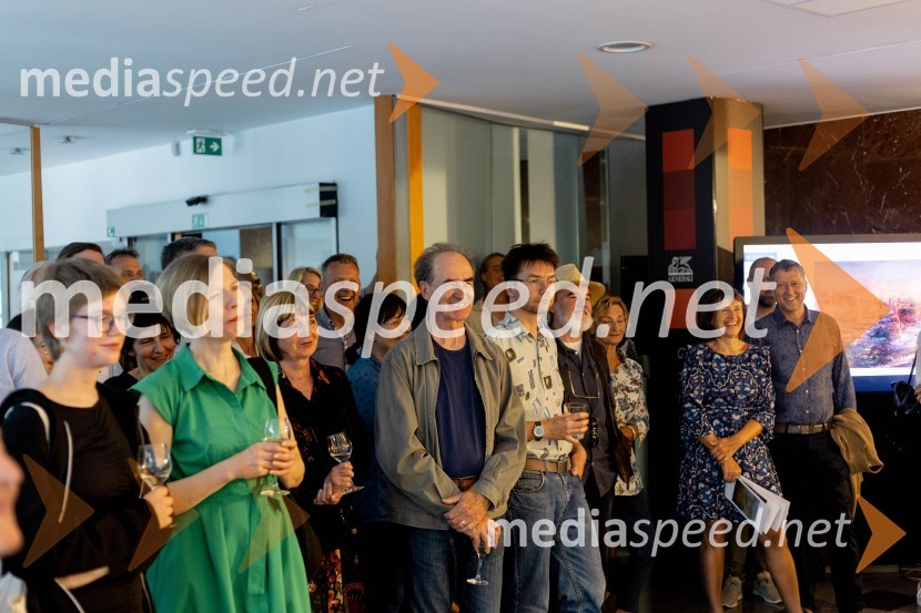 Apolonija Simon z razstavo Globine vidnega v galeriji Generali