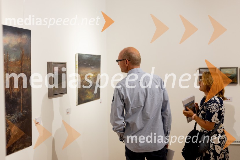 Apolonija Simon z razstavo Globine vidnega v galeriji Generali