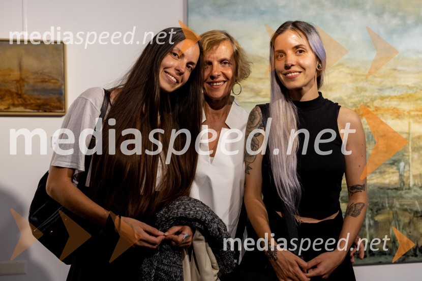  ... ;  Apolonija Simon, umetnica;  ... Apolonija Simon z razstavo Globine vidnega v galeriji Generali