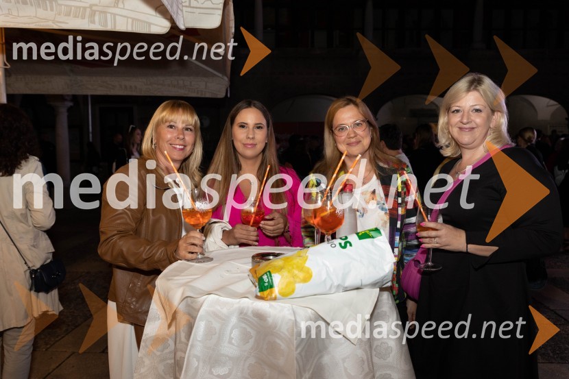 Muzikal Mamma Mia, Ljubljana Festival 2023