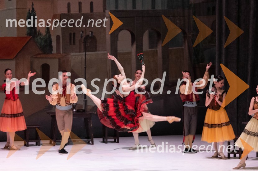 1. Mednarodni baletni festival Plesne noči, slavnostna otvoritev