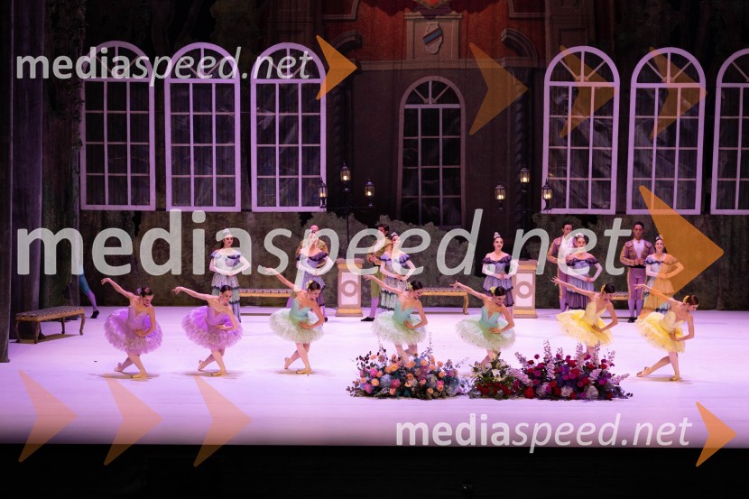 1. Mednarodni baletni festival Plesne noči, slavnostna otvoritev