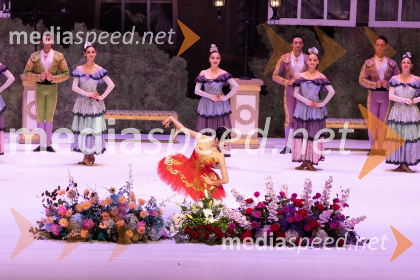 1. Mednarodni baletni festival Plesne noči, slavnostna otvoritev