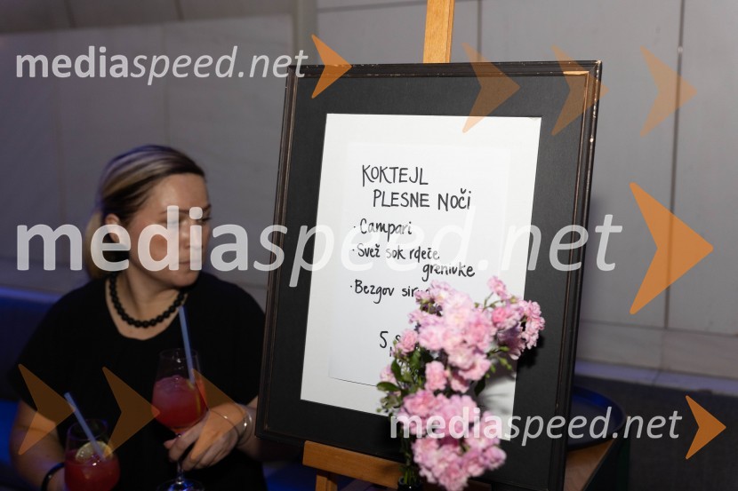 1. Mednarodni baletni festival Plesne noči, slavnostna otvoritev