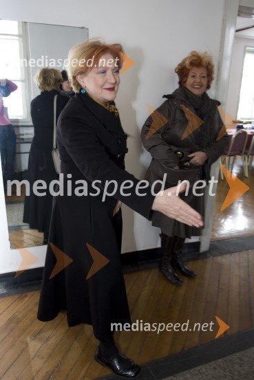 Jerica Mrzel, igralkaSrečanje kandidatk za Slovenko leta v obdobju od leta 1988 do 2008