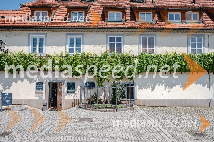 Poletni utrinki iz štajerske prestolnice