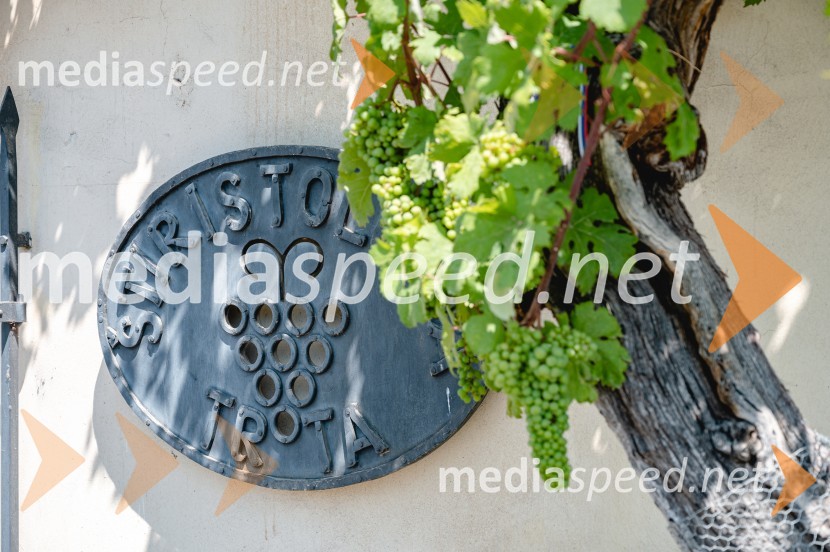 Poletni utrinki iz štajerske prestolnice