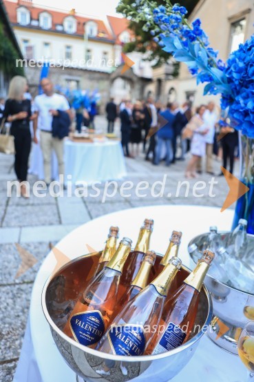 60 let uspešnega podjetnika Janeza Škrabca