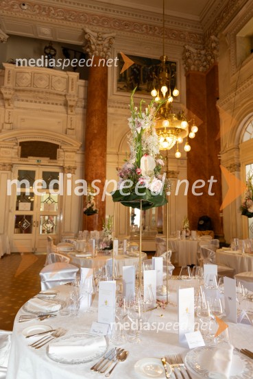 Anin ples, unikatnost, dovršenost in dobrodelno poslanstvo z 200 letno tradicijo