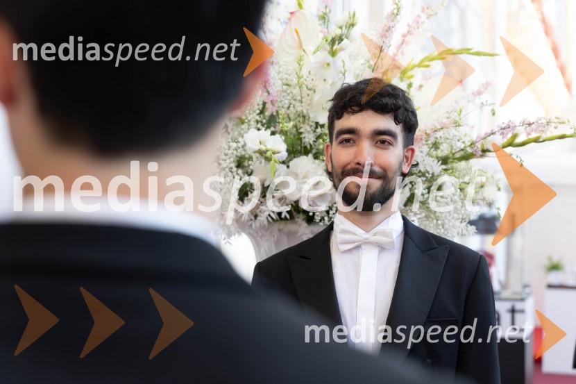  Miloš Lazić, član protokolaAnin ples, unikatnost, dovršenost in dobrodelno poslanstvo z 200 letno tradicijo