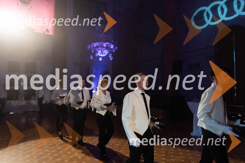 Anin ples, unikatnost, dovršenost in dobrodelno poslanstvo z 200 letno tradicijo