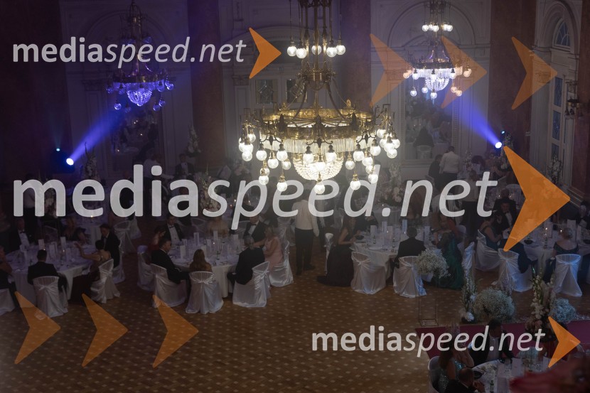 Anin ples, unikatnost, dovršenost in dobrodelno poslanstvo z 200 letno tradicijo