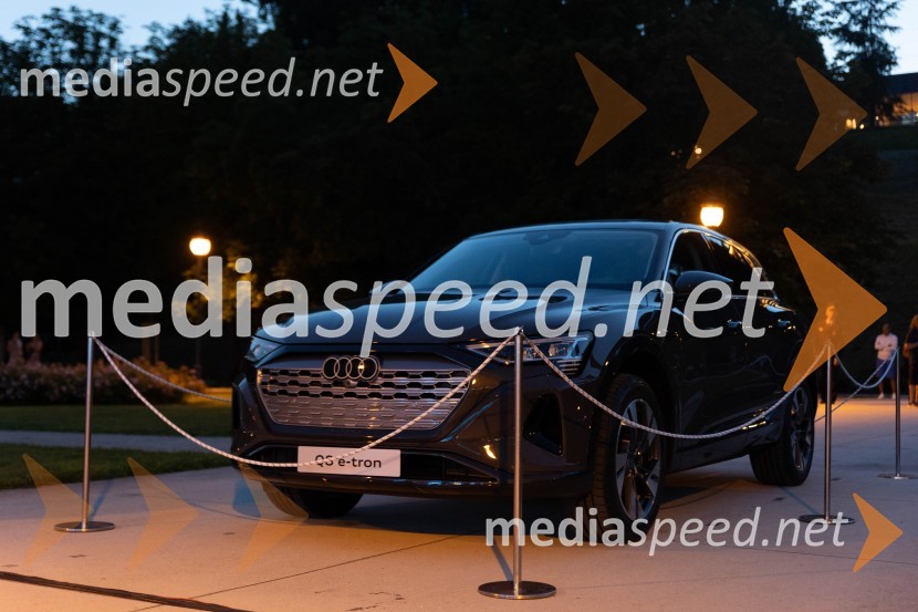 Anin ples, unikatnost, dovršenost in dobrodelno poslanstvo z 200 letno tradicijo