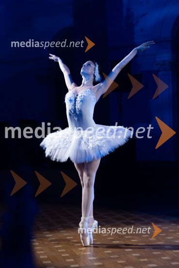  Tea Bajc, balerina, SNG Opera in balet MariborAnin ples, unikatnost, dovršenost in dobrodelno poslanstvo z 200 letno tradicijo