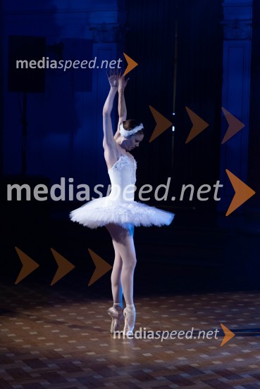  Tea Bajc, balerina, SNG Opera in balet MariborAnin ples, unikatnost, dovršenost in dobrodelno poslanstvo z 200 letno tradicijo