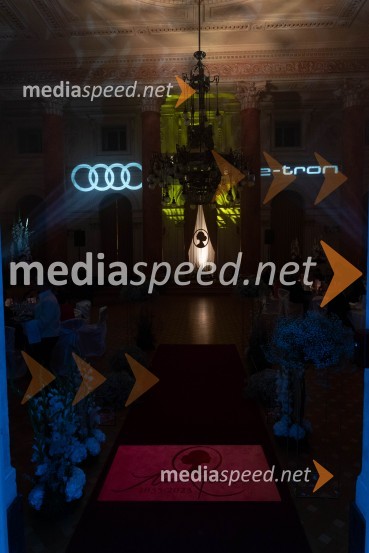 Anin ples, unikatnost, dovršenost in dobrodelno poslanstvo z 200 letno tradicijo