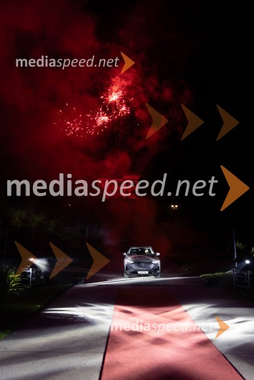 Anin ples, unikatnost, dovršenost in dobrodelno poslanstvo z 200 letno tradicijo