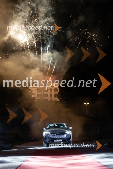 Anin ples, unikatnost, dovršenost in dobrodelno poslanstvo z 200 letno tradicijo