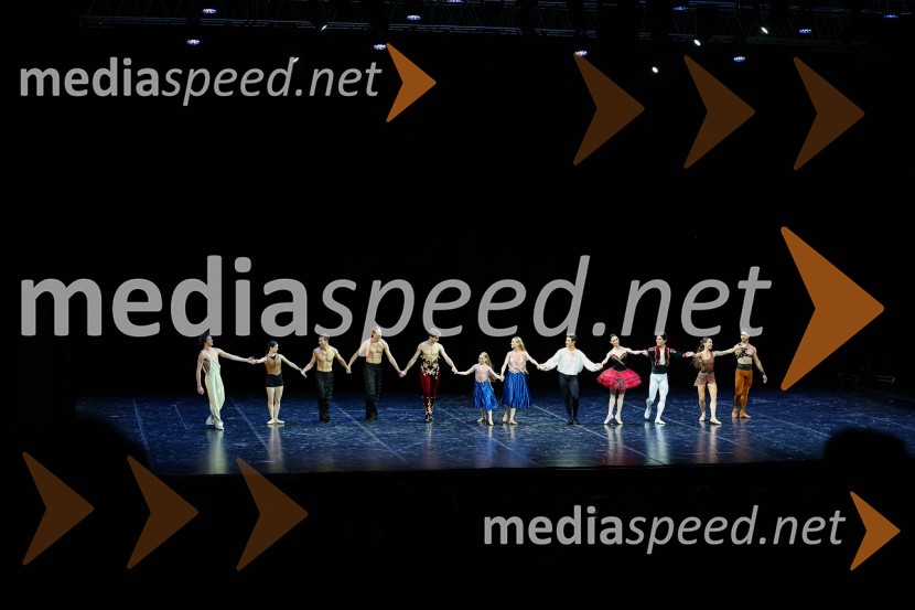  Alessandro Frola, baletni plesalec;  Paula Iniesta, baletna plesalka;  Simon Repele, baletni plesalec;  Sasha Riva, baletni plesalec;  Sergio Bernal, baletni plesalec;   Julia Balzaretti;  Eleonora Abbagnato, baletna plesalka;  Michele Satriano, baletni plesalec;  Ljudmila Konovalova, baletna plesalka;  Yong Gyu Choi, baletni plesalec;  Rachele Buriassi, baletna plesalka;  Esnel Ramos, baletni plesalecZvezde, gala baletni večer na 71. Ljubljana Festivalu