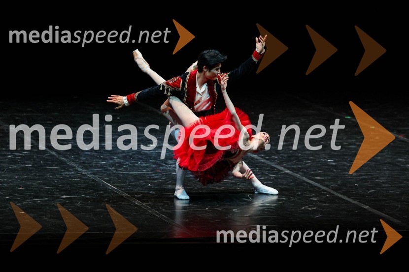  Yong Gyu Choi, baletni plesalec;  Ljudmila Konovalova, baletna plesalkaZvezde, gala baletni večer na 71. Ljubljana Festivalu