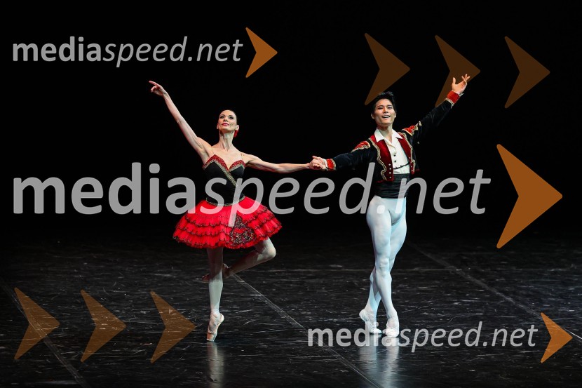  Ljudmila Konovalova, baletna plesalka;  Yong Gyu Choi, baletni plesalecZvezde, gala baletni večer na 71. Ljubljana Festivalu