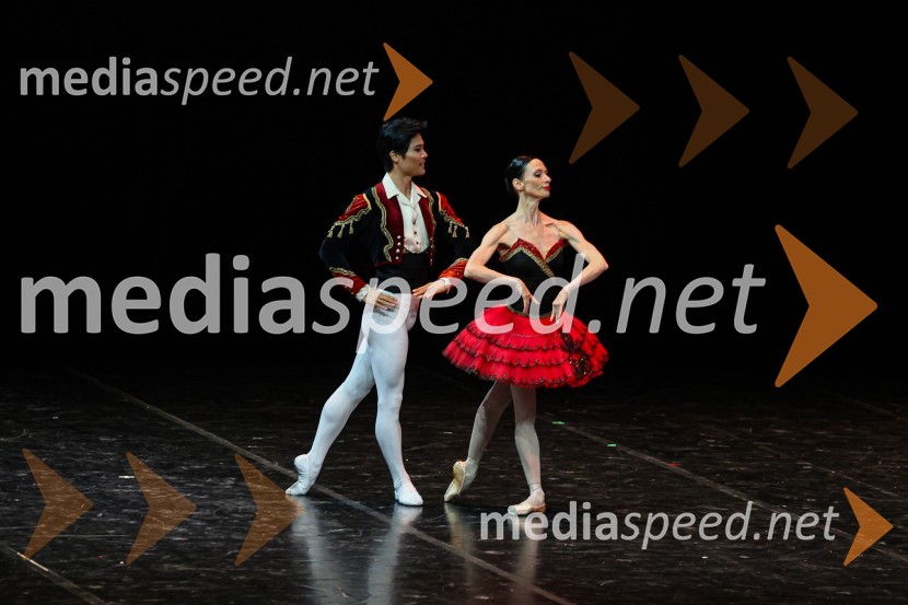  Yong Gyu Choi, baletni plesalec;  Ljudmila Konovalova, baletna plesalkaZvezde, gala baletni večer na 71. Ljubljana Festivalu