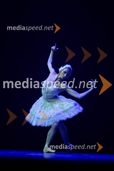  Ljudmila Konovalova, baletna plesalkaZvezde, gala baletni večer na 71. Ljubljana Festivalu