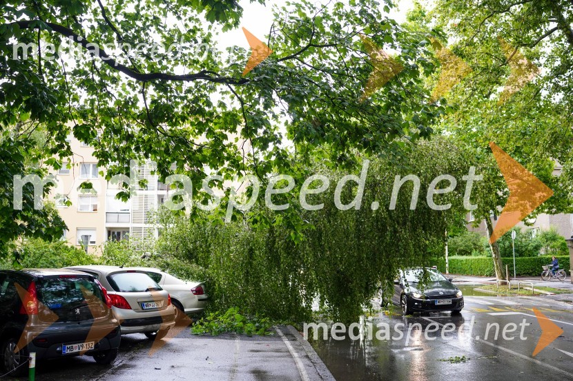 Posledice neurja v Mariboru