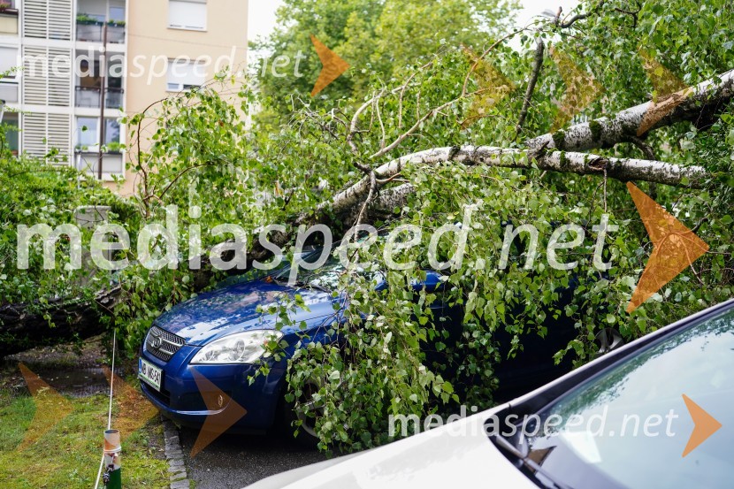 Posledice neurja v Mariboru