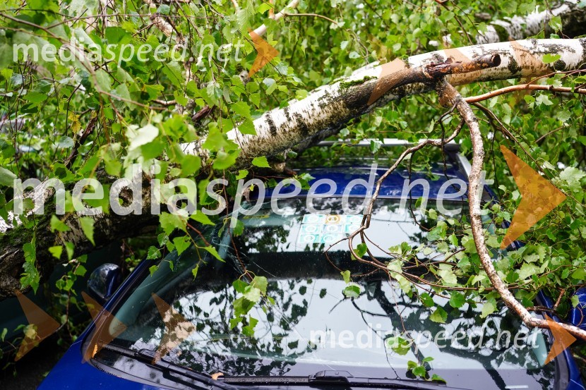 Posledice neurja v Mariboru