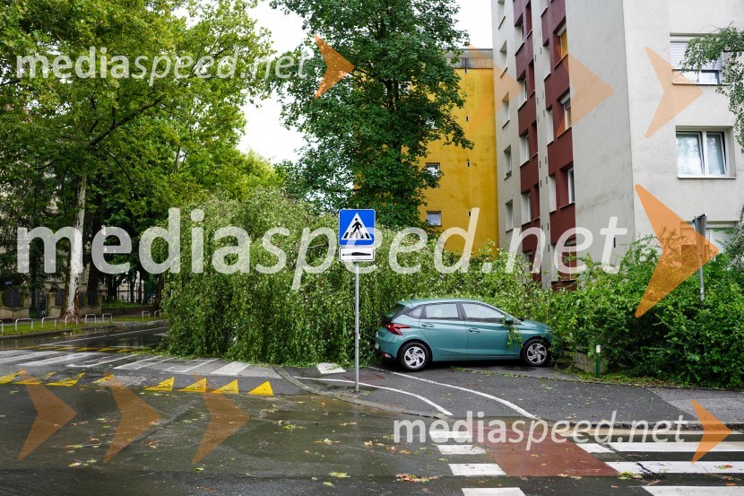 Posledice neurja v Mariboru