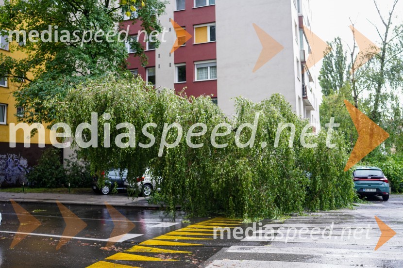 Posledice neurja v Mariboru