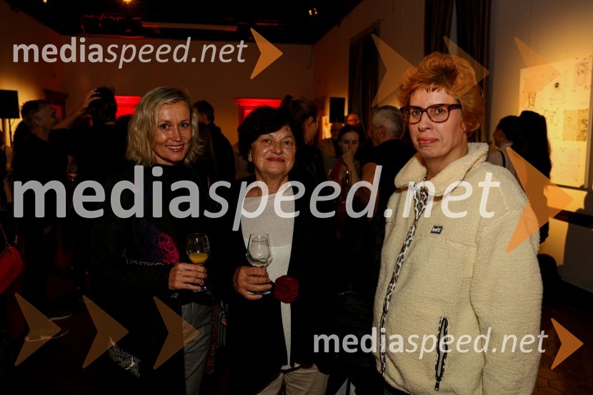 Na Ljubljana Festivalu plesni Gran Bolero