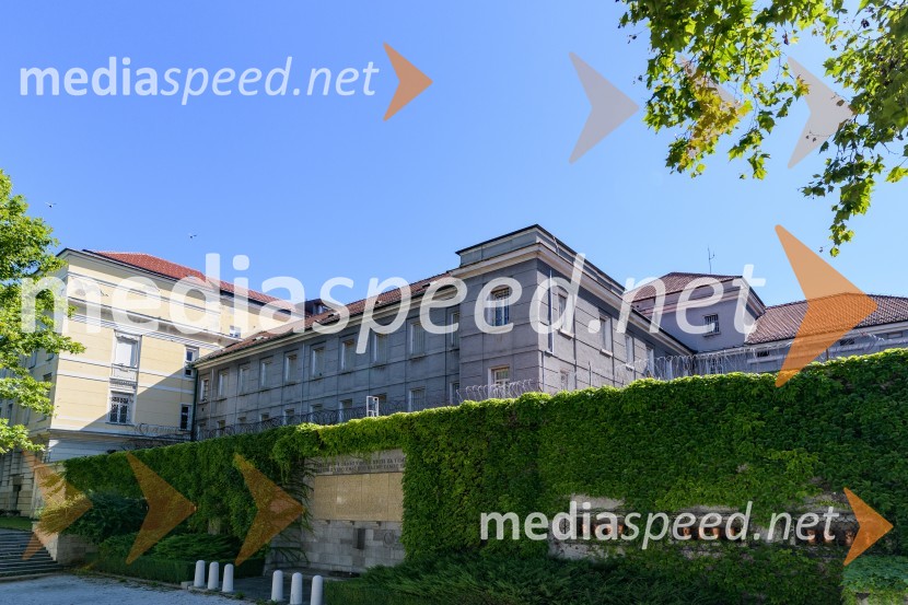 Uboj v Mariboru, 20 letnik umoril partnerko