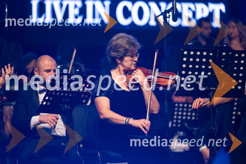 Na Ljubljana Festivalu čarobna glasba iz Harryja Potterja