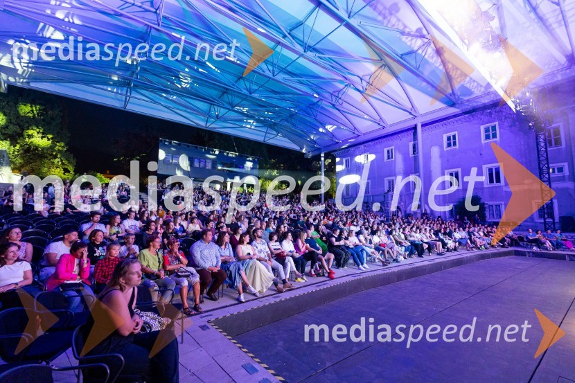 Na Ljubljana Festivalu čarobna glasba iz Harryja Potterja