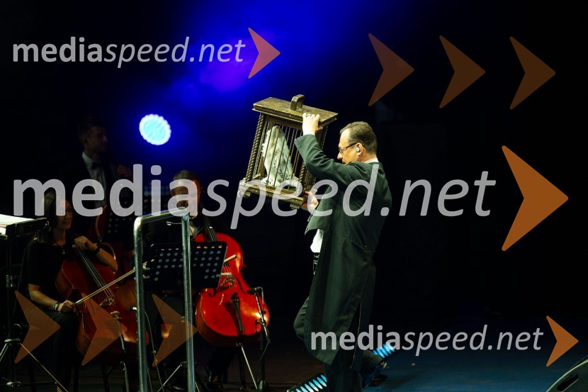  Sergej Černijak, dirigentNa Ljubljana Festivalu čarobna glasba iz Harryja Potterja