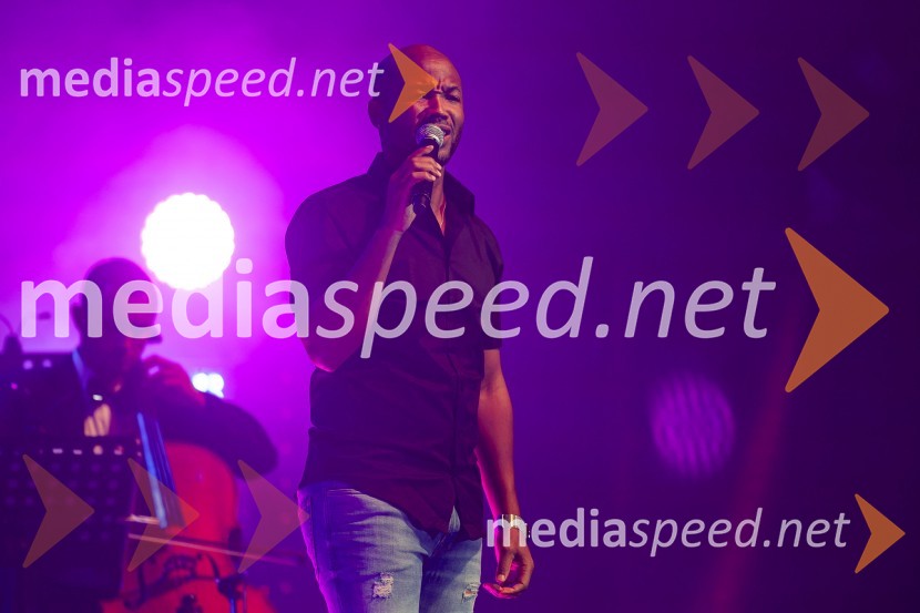 Na Ljubljana Festivalu čarobna glasba iz Harryja Potterja