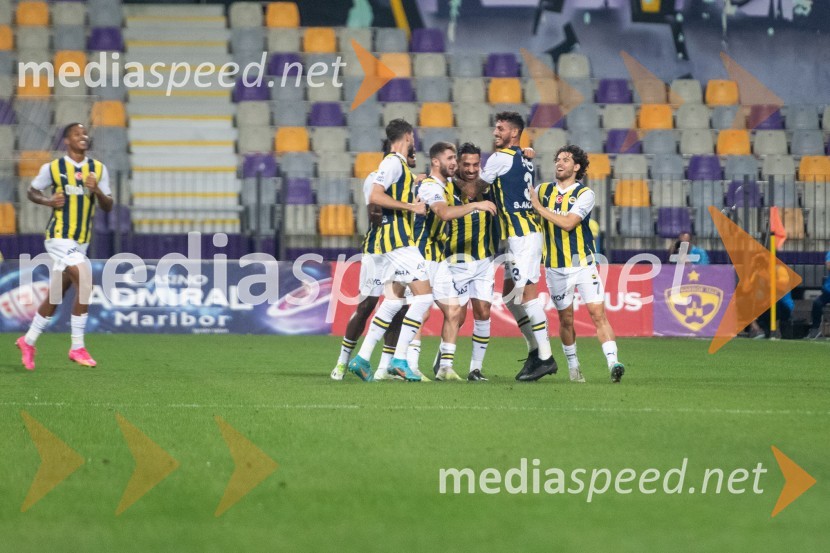 Nogometaši Maribora izgubili tekmo proti Fenerbahčeju