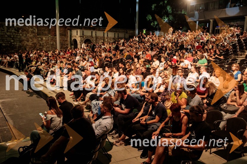 Koncert filmske glasbe Gospodarja prstanov in Hobita, 71. Ljubljana Festival