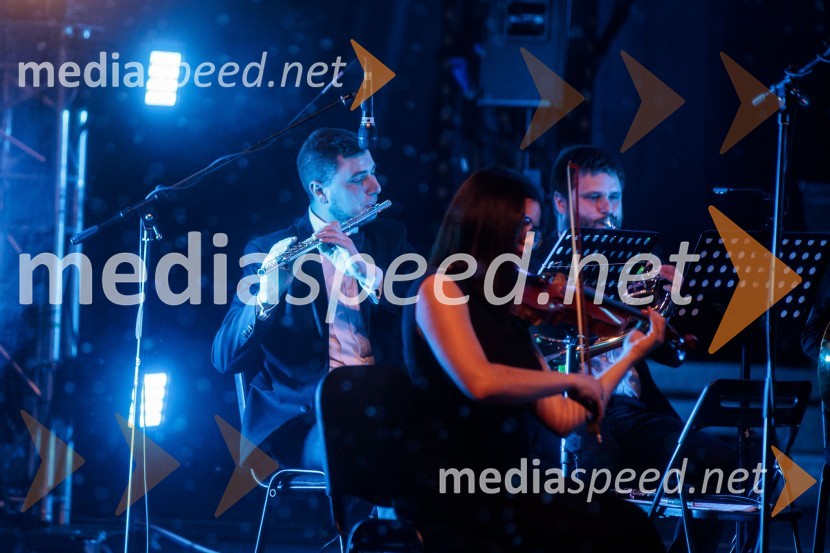 Koncert filmske glasbe Gospodarja prstanov in Hobita, 71. Ljubljana Festival