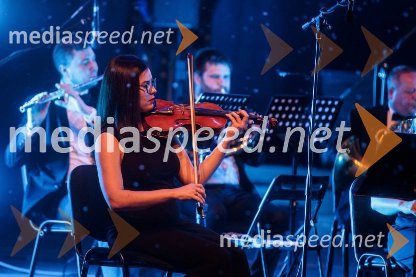 Koncert filmske glasbe Gospodarja prstanov in Hobita, 71. Ljubljana Festival